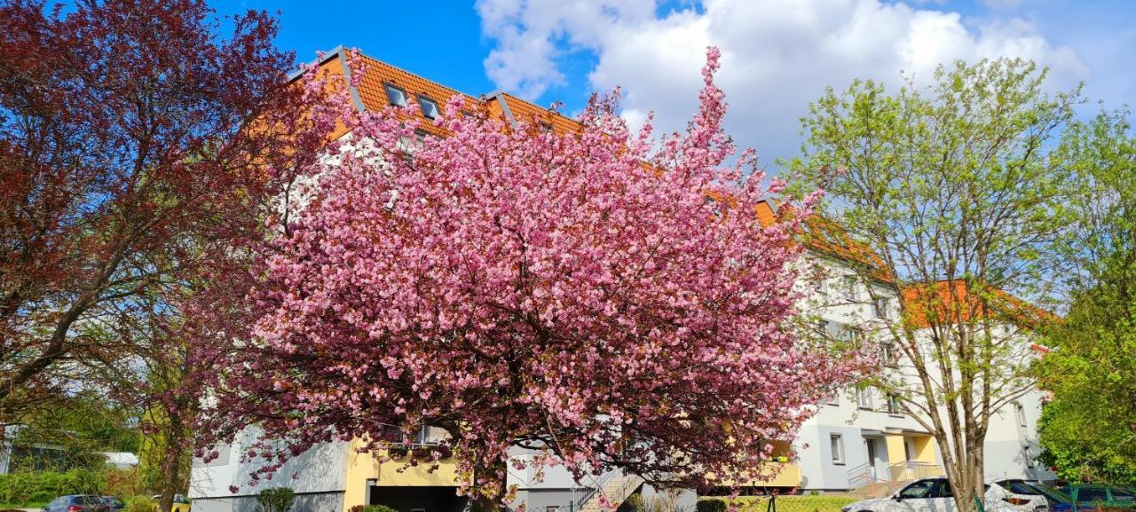 Moderne Wohlfühlferienwohnung in Hildburghausen Exterior foto